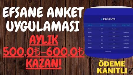 Çevrimiçi Anketlere Katılarak Para Kazanma